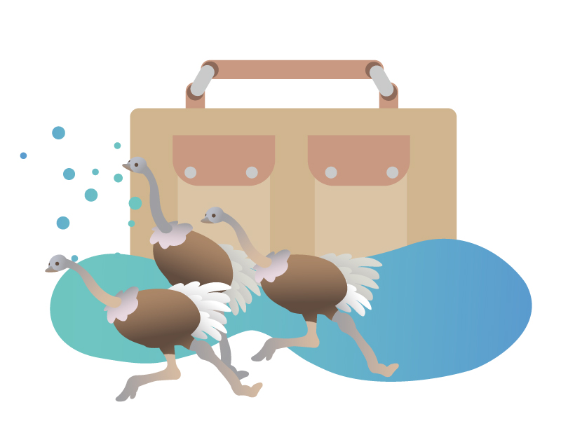 鴕鳥皮革Ostrich Leather