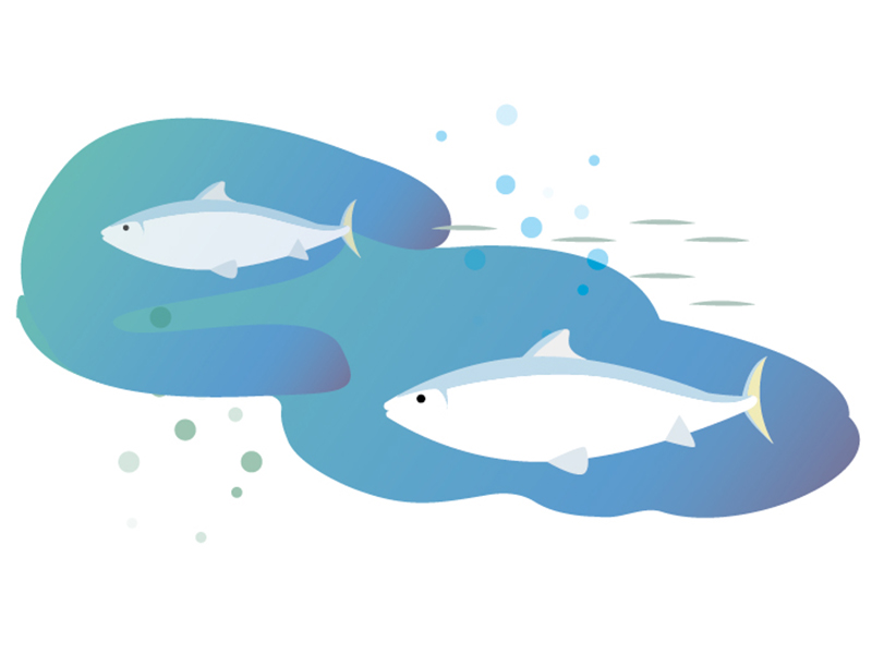 水產Aquatic products